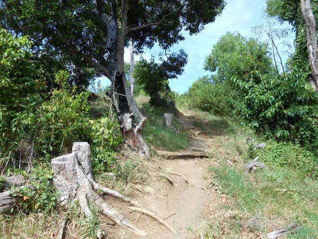 Une portion du circuit des tortues vertes, juste avant de tourner à droite vers le GR