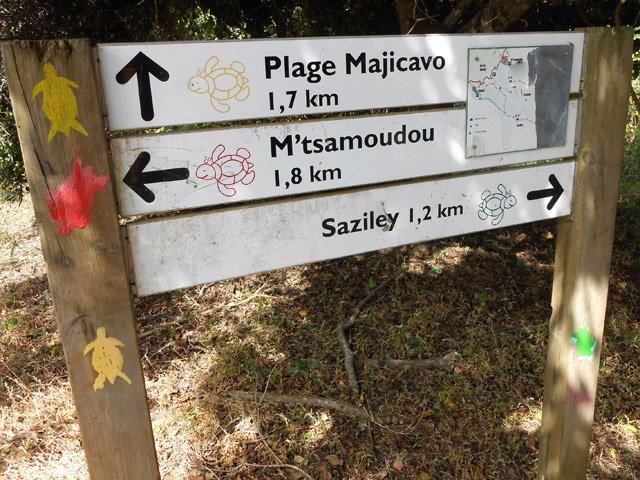 Bien repérer les couleurs de tortues servant de balises