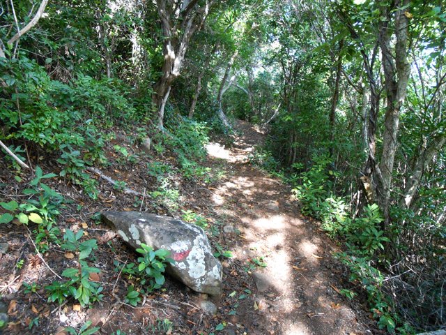 Les balises du GR sont toujours visibles de loin