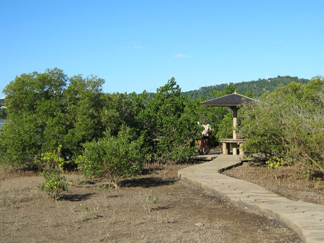 La petite boucle dans la mangrove avant d'arriver au port est facile