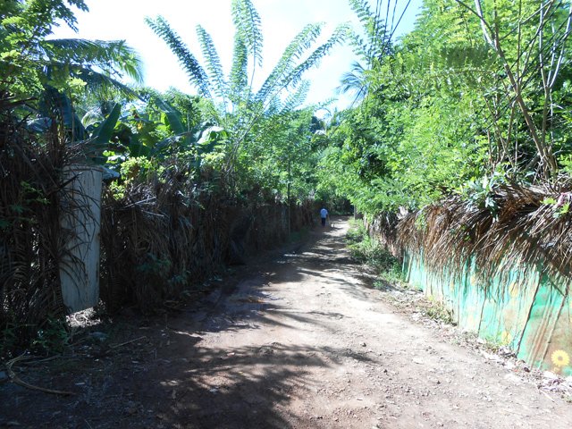 Le chemin qui monte vers le lac