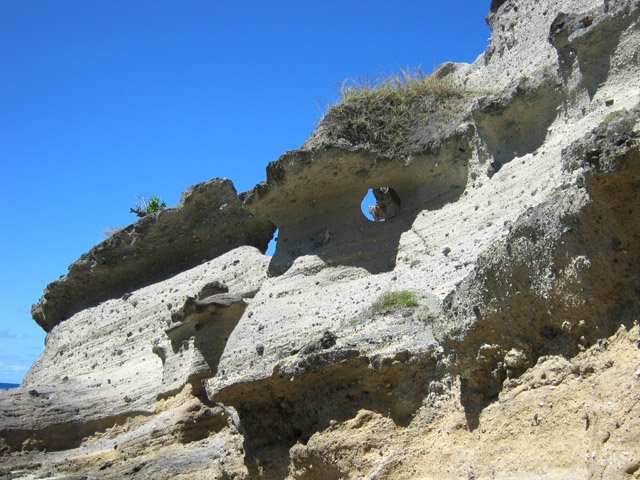 Vue partielle de la falaise, trouée par endroits