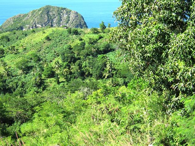 Une idée des paysages non habités de l'île