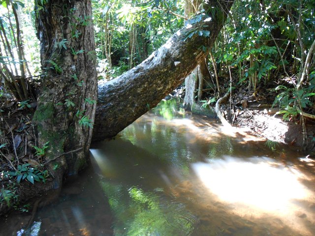 On franchit quelques ravines plus ou moins en eau