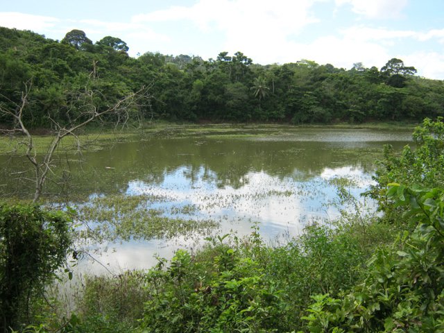Le coin idéal pour la pêche au tilapia