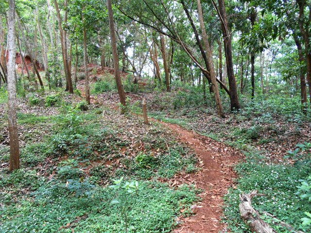 Sentier parfois pentu mais très bien marqué