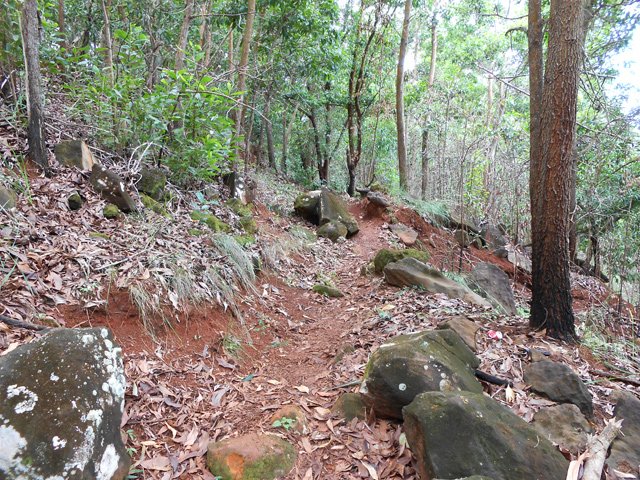 Les portions rocheuses sont assez rares