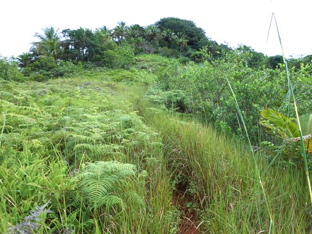 Il n'est pas toujours très large mais il se devine toujours