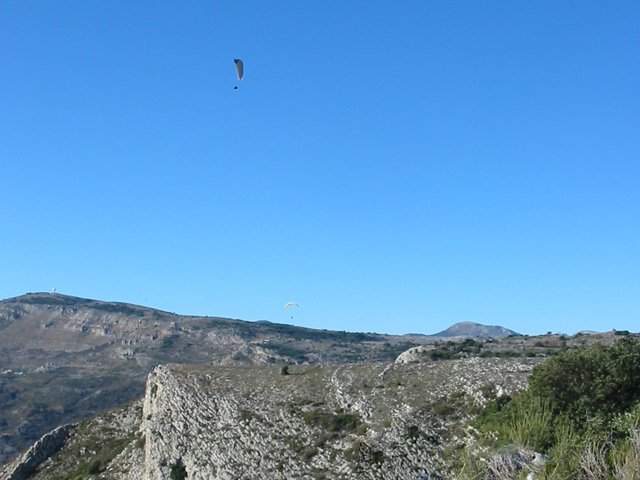 Une autre idée de la végétation à cette altitude