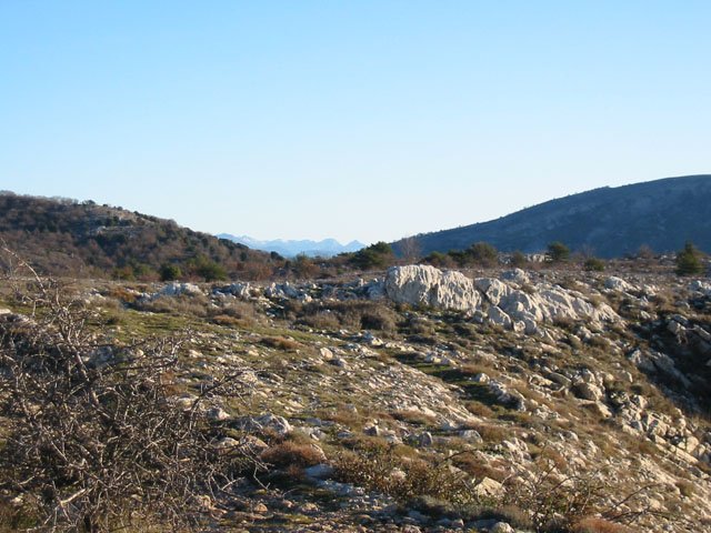Les Alpes, à l'horizon, au-dessus du plateau
