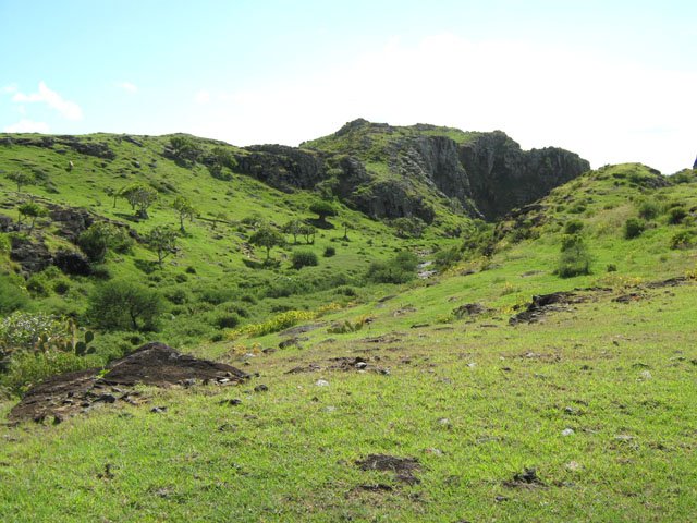Vastes prairies bordant le lagon