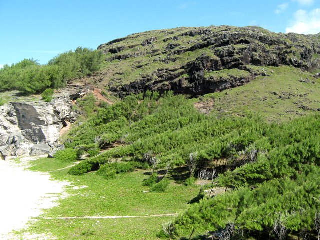 Une idée de la côte et des plages envahies de patates à Durand