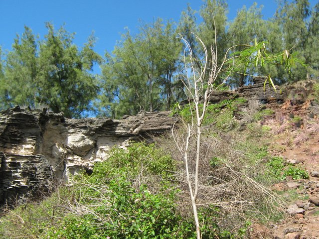 Nouvelle grimpette pour franchir une falaise