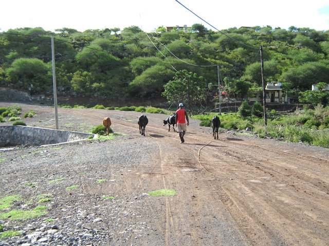 La dernière piste avant de suivre la côte au plus près