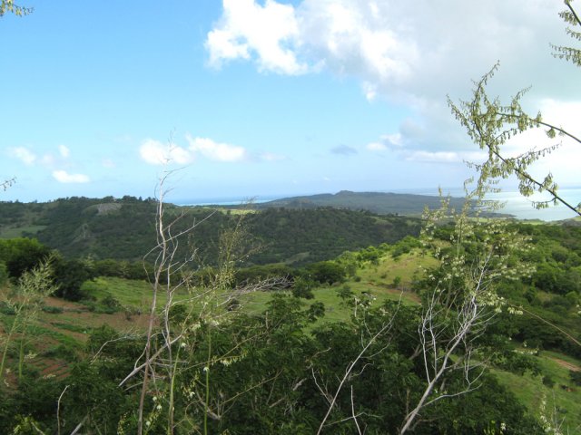 Les pitons ont disparu depuis plusieurs millions d'années