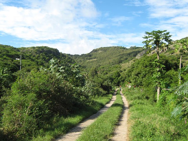 Plus pratique qu'un chemin, moins cher qu'une route