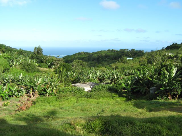 Les maisons sont cachées et ont des toits plats pour résister aux cyclone