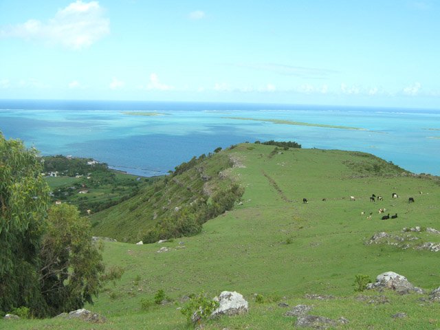 La descente vers Parc à Tortue dans les prairies