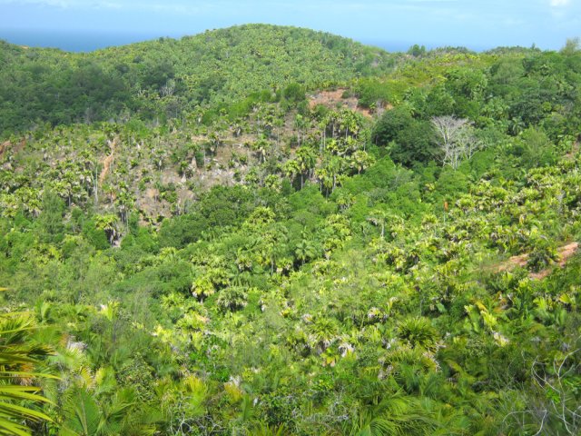 Le regard embrasse toute la zone de collines