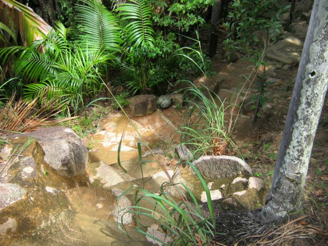 Descente vers le ruisseau