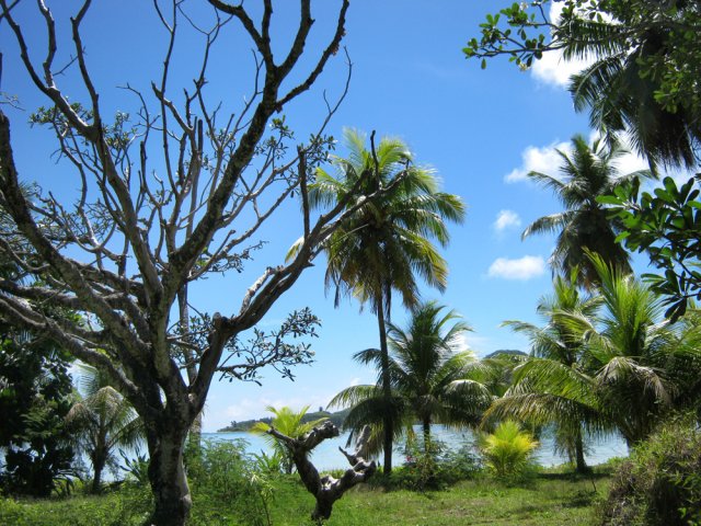 On arrive au plus près de la mer