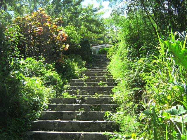 L'escalier et la case de Tante Anne