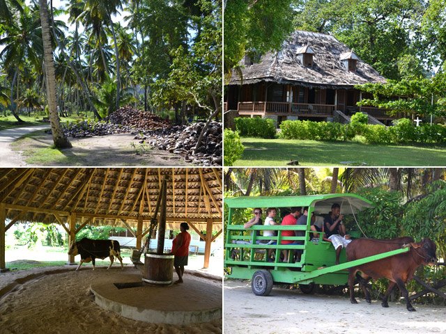 Quelques attractions à visiter au Domaine de l'Union