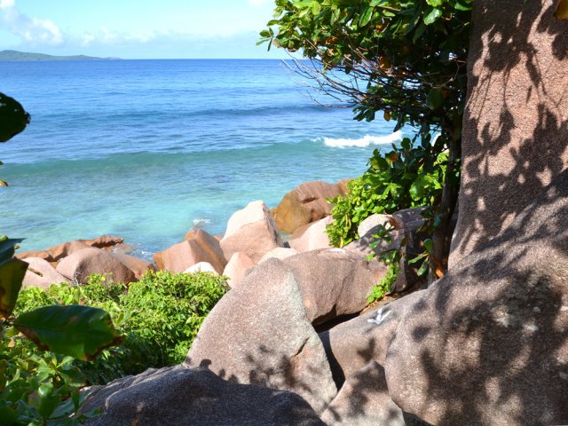 La plage n'est souvent que constituée de roches