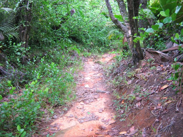 Les sentiers se ressemblent tous ou presque