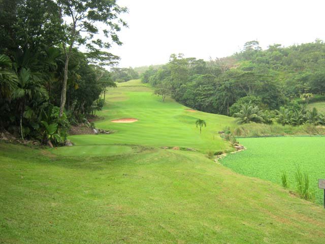 La 3ème partie du golf, juste avant de chercher le sentier