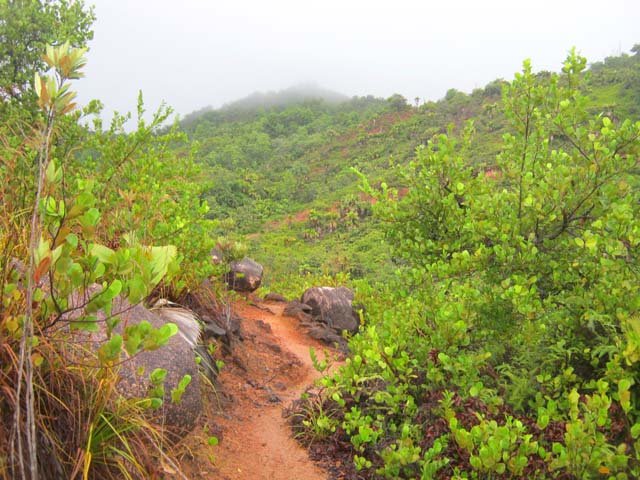 Le sentier, très glissant par temps de pluie.