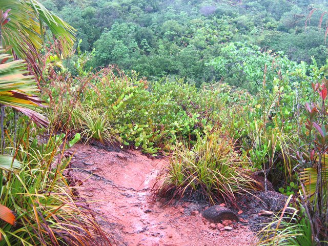 Une autre portion, plus abrupte et glissante à la sortie de la forêt