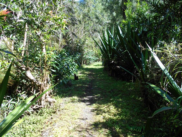 Une autre portion agréable