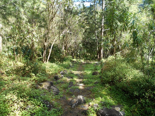 Des cailloux également en rive gauche