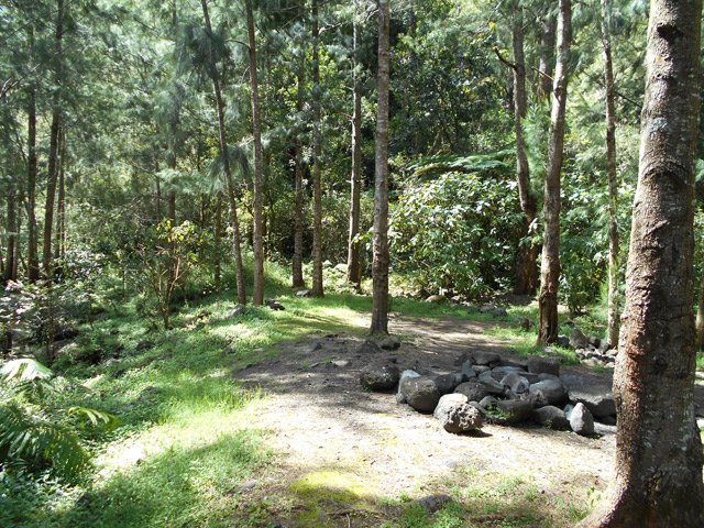 Le premier emplacement en rive gauche