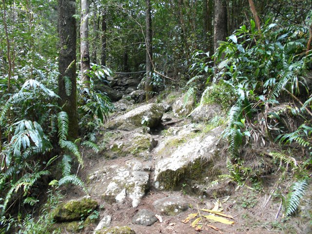 Le sentier devient plus caillouteux après l'arche