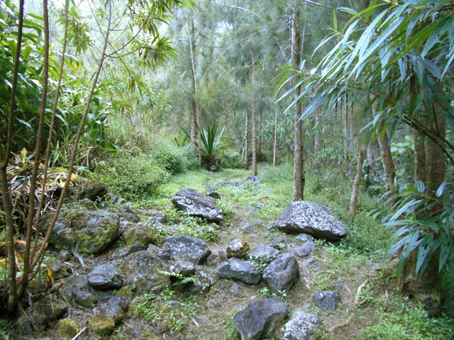 Une portion caillouteuse du sentier, bien entretenue