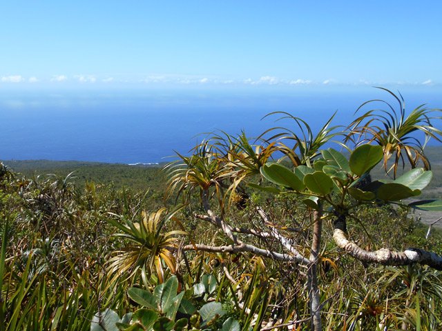 Nombreux beaux panoramas sur l'océan