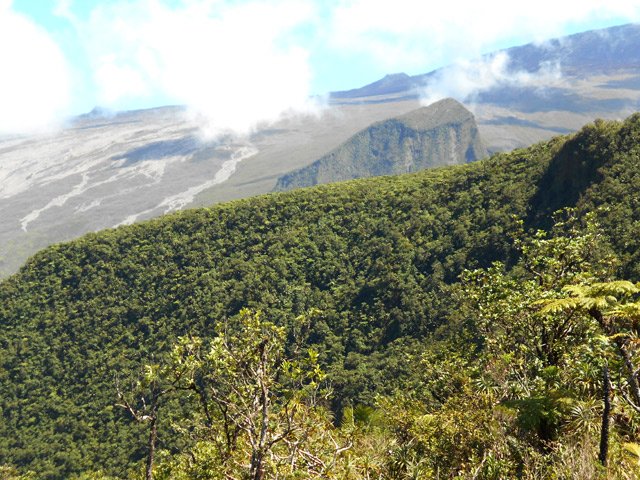 Le Trou de Sable et le Piton de Crac avant de redescendre vers l'Îlet Leroux