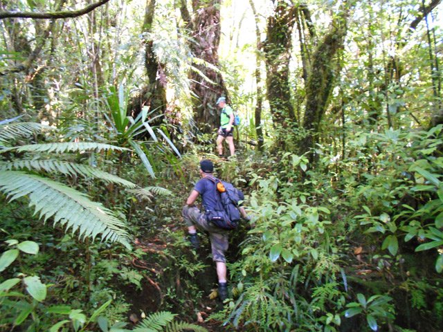 Le sentier est facile à suivre et on retrouve des hautes marches