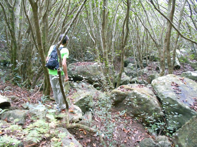 On quitte la piste pour longer longuement le Bras Marie