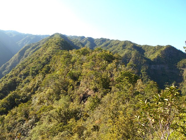 Une idée de la pente restant à effectuer en montée constante vers le Sentier des Lataniers