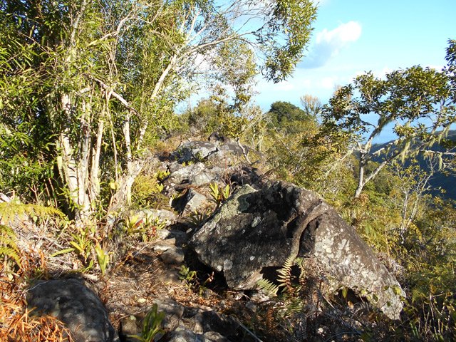 La même crête, mi-rochers, mi-végétation