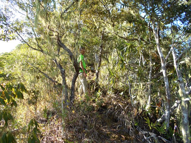 Toujours la même crête avec uniquement de la végétation