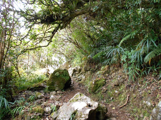 Les roches tombées ne gênent pas le cheminement