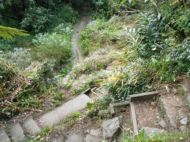 La même ravine vue du haut des escaliers vers Bélouve