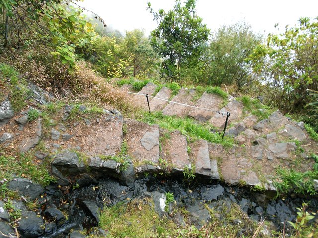 Une source d'eau fraîche au goût agréable (testée)