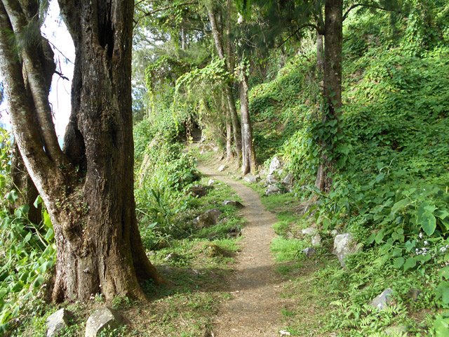 Le sentier est bétonné, donc très agréable