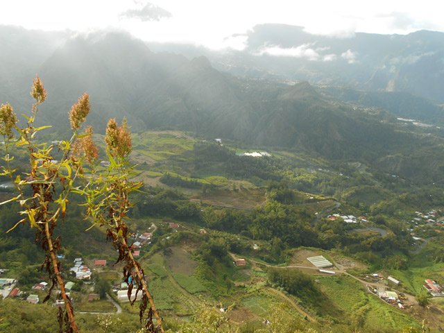 Le Plateau Sisahaye vers la Mare à Poule d'Eau