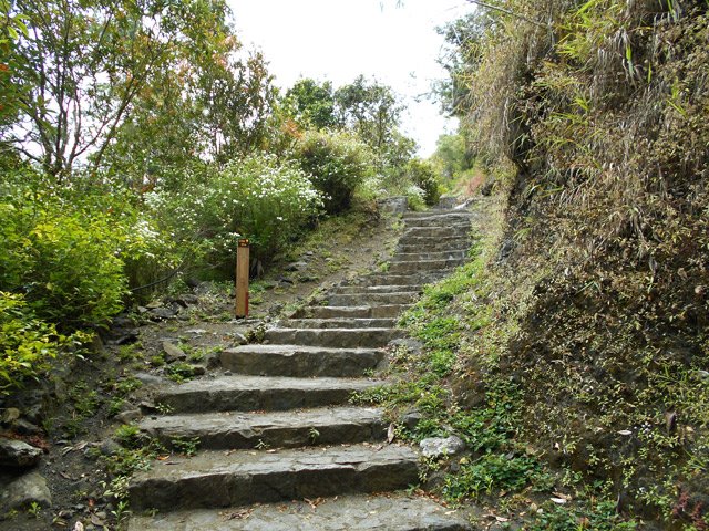 Remontée vers la ville par des escaliers très propres